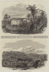 De Uitbraak in Jamaica